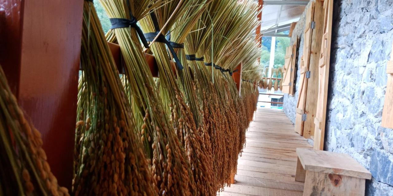 Yen Nhi Ban Gioc - New Cs2 Homestay Cao Bang