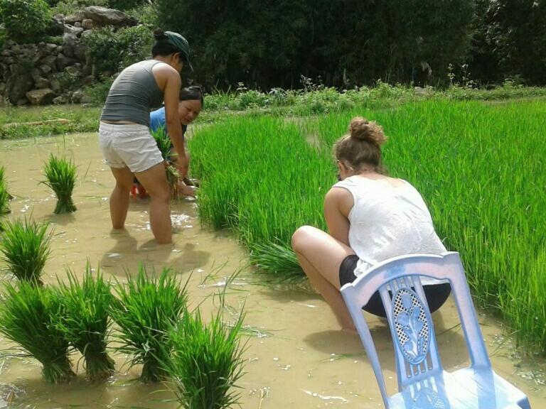 Yen Nhi Ban Gioc - New Cs2 Cao Bang